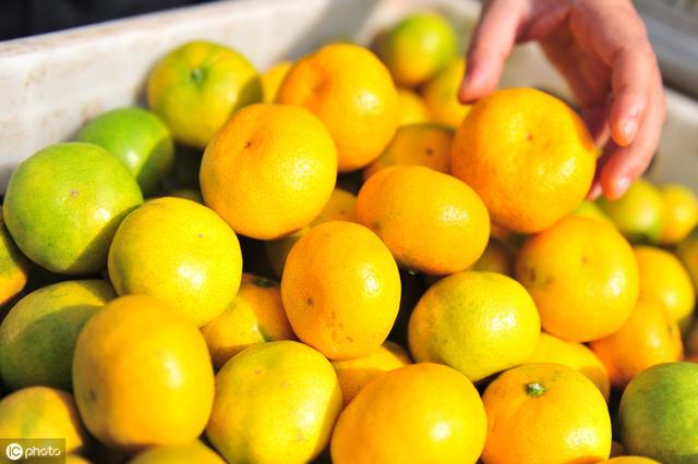 很多人对柑橘着色、增甜一知半解！掌握原理，才能根本解决问题