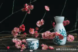 浙江省2021届高三第二次联考语文试题及答案图片