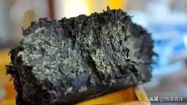 安化黑茶茯砖与其他茶叶有何不同