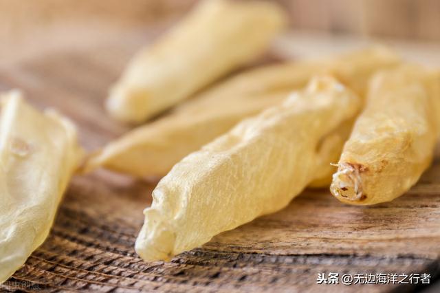 鱼胶一次一人用多少克合适 2025年鱼胶一次一人炖几根