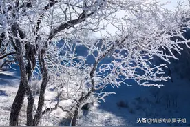 前男友分手七天就订婚，我还有机会挽回吗？图片