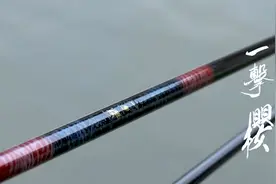 不到六百元！日本达亿瓦入门款鱼竿，高颜值，轻量化图片