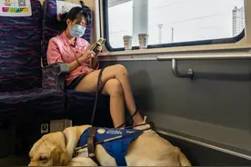 20岁女孩带着狗乘坐高铁，工作人员没有拒绝，还帮忙照顾图片