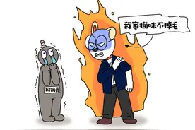 猫毛会被吸入身体里致癌？辟谣：假的，这误区怎么现在还有人信？图片