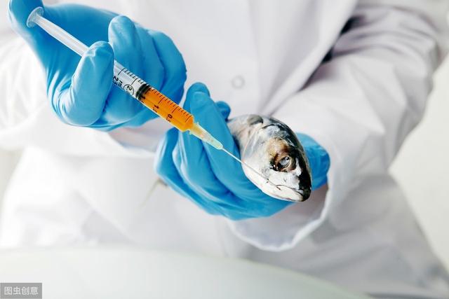 几种常见功能性饲料添加剂