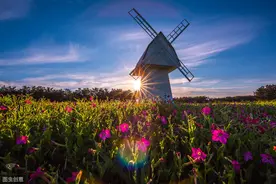 笑翻了！《再别康桥》威海话版，你是不“季倒”？图片