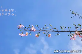 用DOS命令取消文件的只读属性图片