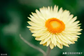 掌握常用英语词语辨析，让你的英语更得体，更地道图片