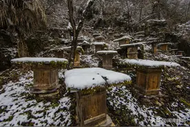 蜜蜂越冬期间，养蜂人还能检查蜂群吗？听听养蜂专家怎么说图片