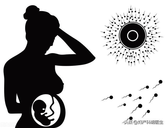辟谣：为什么怀孕了就不会来月经？两个病例告诉你真相