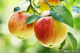 降血压的水果蔬菜有哪些？图片