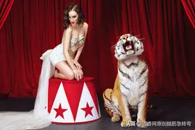 金木水火土，打成一只虎，走过多少途，独怕一道雾（打交通工具）图片
