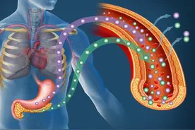 最严重的的癌症：胰腺癌！医生宣布死刑，却靠中药活到现在图片