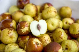 15~30元/斤！为什么在夏天的冬枣可以卖到这么贵？图片