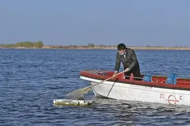 雄安环保人：打好蓝绿交织生态底色图片