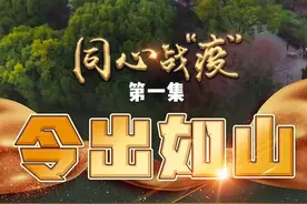 令出如山丨号令出 风雷动！抗疫，坚持全国一盘棋图片