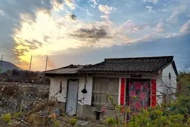 小说：老太梦见要挖坑养猪，没人信，不久全村除她家猪都死了图片