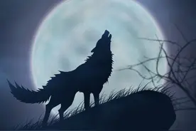 甲骨文探秘：犬并非狼驯化来，甲骨文显示猫和狼不是中国本土物种图片