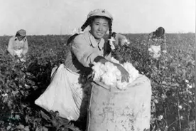 50年代初，解放军开赴新疆垦荒耕种艰苦生活的真实老照片图片