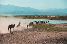中考数学试题解析之最短路径问题图片