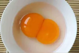 为什么会造成双黄蛋？双黄蛋好吃吗？它能孵出两只小鸡吗？图片