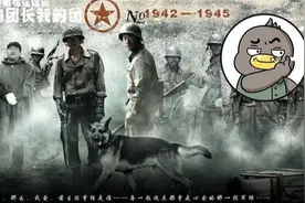 影视剧里的国军和真实的国军，中间差了10086个楚云飞图片