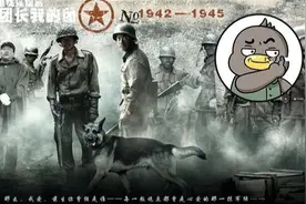 影视剧里的国军和真实的国军，中间差了10086个楚云飞图片