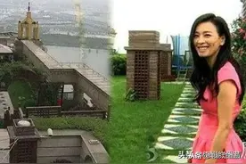 刘嘉玲、张庭的豪宅价值上亿，但李嘉欣的豪宅只造价就超过了她们图片