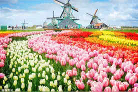 普通创业者为啥不宜炒股？7亏2平1正的根源是什么？背后有3个原因图片