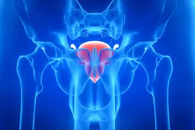 前列腺是男人的生命“腺”！日常养护要做到2多1少，炎症不来找图片