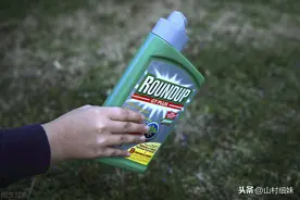 草甘膦除草剂使用方法图片