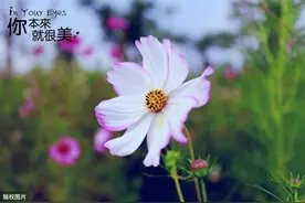 最美五一祝福语，新颖有创意，暖人心窝,四月再,见五月你好!图片