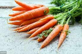 日常物品英语之蔬菜英语单词视频封面