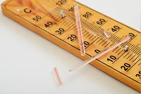 生态毒理学到底学个啥？1. 为什么研究生态毒理学图片