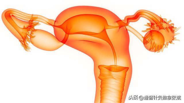 盆腔炎症吃什么药（用于盆腔炎的14种中成药）