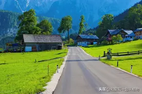 一年只要2000元，不买别墅也能享受田园生活——租菜园图片