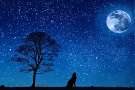 “像一匹野性又害羞的小狼王”——在丁真的世界放飞精神图片