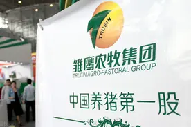 秦英林成了河南首富，养猪首股被追债7亿元，金融培训班惹的祸？图片