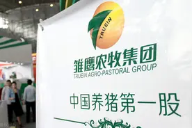 秦英林成了河南首富，养猪首股被追债7亿元，金融培训班惹的祸？图片