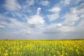 城镇化背景下合村并居社区建设--以德州市为例图片