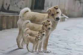 穴位位置不是固定的，说3寸，不一定就在那里，通过刮痧找寻图片