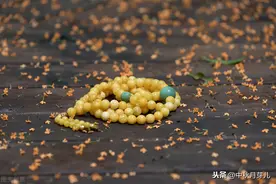 我只是上辈子给你盖衣服的人，并不是上辈子埋你的人图片