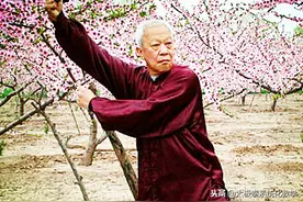 陈庆州论述：太极拳的眼神运用图片