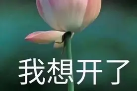 中老年表情包，为何能forever young？图片