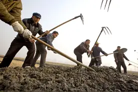 澄清一个事实，农民在生产队时也不整天愁眉苦脸，快乐多于愁苦图片