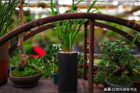 《太上感应篇》启示人类，需要重新审视与人、自然界、宇宙的关系图片