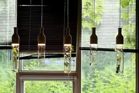 俗语：一棵“绿萝”七个鬼，到底是什么意思？养花达人这样说图片