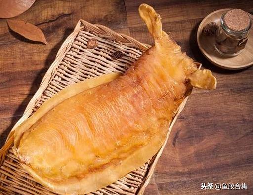 赤嘴鳘鱼胶功效作用 2026年赤嘴鳘鱼胶是什么鱼