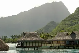刘禹锡《陋室铭》借陋室歌颂道德品质，表达高洁傲岸节操安贫乐道图片