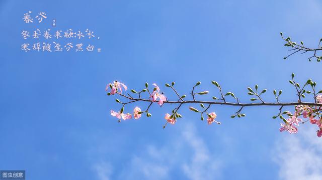 鱼鳞病患者头屑多吗